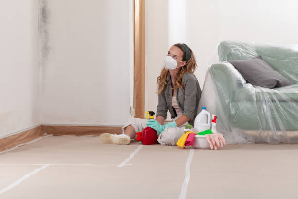 Reliable Crawl Space Mold Removal contractor in Glen Richey, PA by WQB Mold Removal