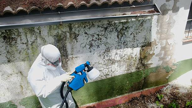Top rated local Crawl Space Mold Removal specialists in Glen Richey, PA